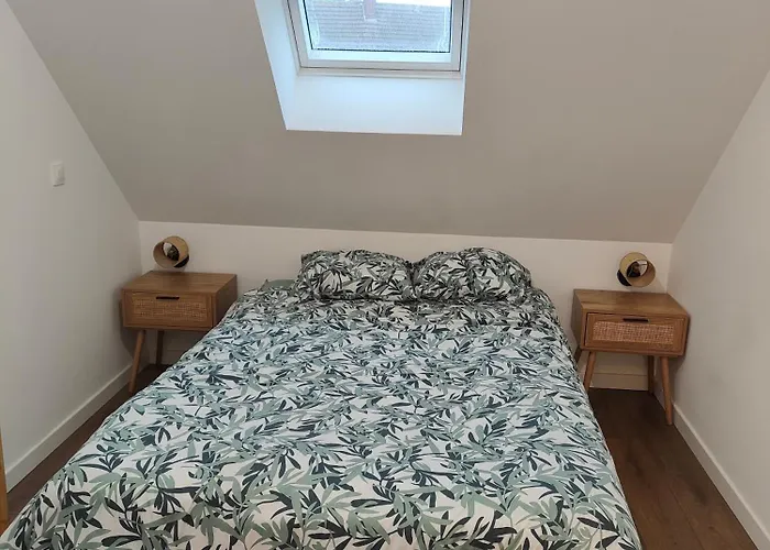 Apartament L'escale Jungle - Classe 2 Etoiles Tillé