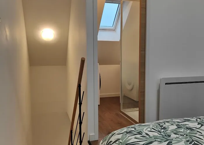 L'escale Jungle - Classe 2 Etoiles Tillé