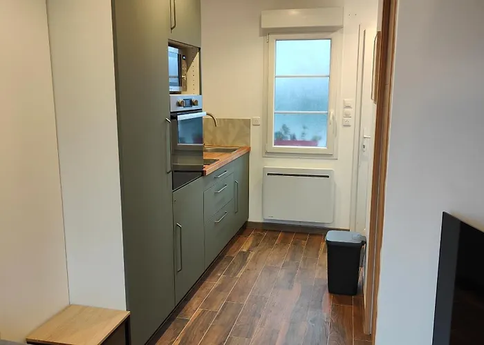 L'escale Jungle - Classe 2 Etoiles *