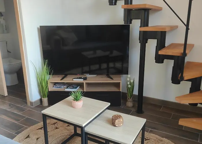 L'escale Jungle - Classe 2 Etoiles