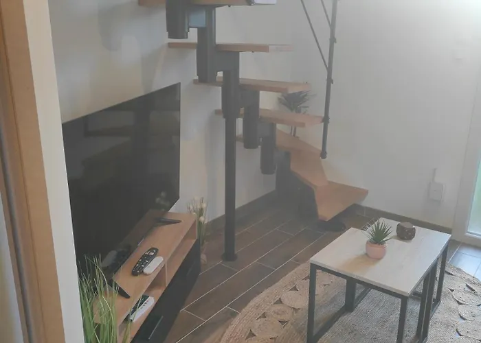 Apartament L'escale Jungle - Classe 2 Etoiles Tillé