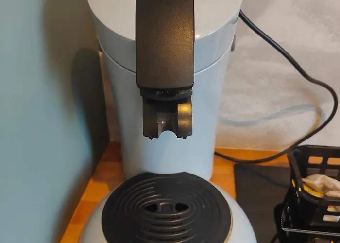 L'escale Jungle - Classe 2 Etoiles * Tillé