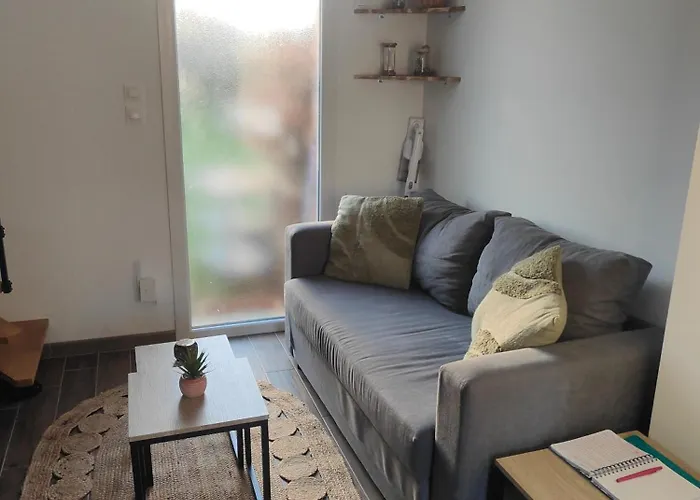 L'escale Jungle - Classe 2 Etoiles